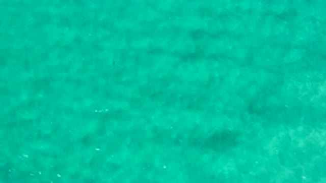 LOS CABOS MEXICO-2020: Aerial Footage Of A Greenish Blue Water With A Slight Ripple