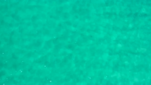 LOS CABOS MEXICO-2020: Overhead View Showing Clear Aqua Ocean Water Swimming