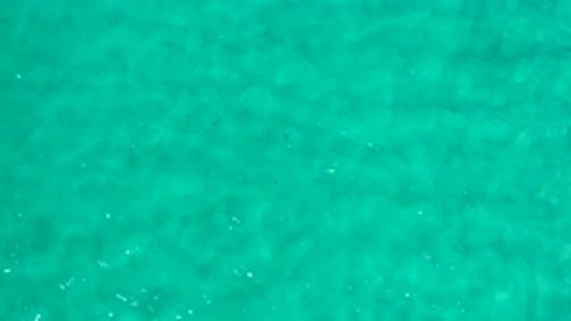 LOS CABOS MEXICO-2020: Crystal Clear Paradise Beach Water Moving With The Wind