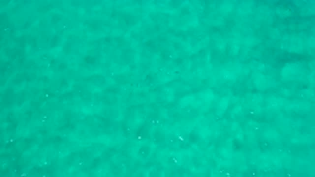 LOS CABOS MEXICO-2020: A Green Deep Sea