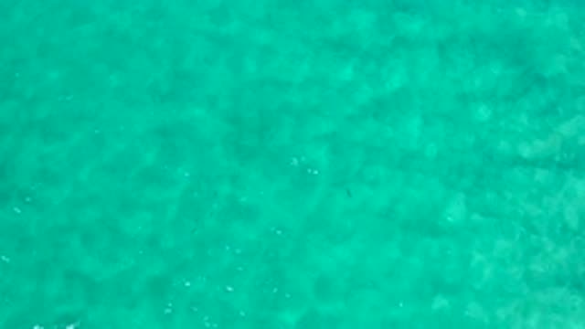 LOS CABOS MEXICO-2020: Green Colored Water With Sunlight Reflection