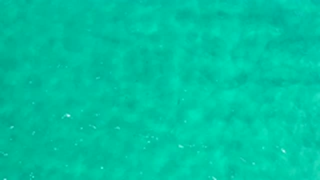 LOS CABOS MEXICO-2020: A Green Water That is Relaxing To See