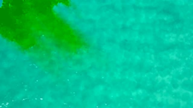 LOS CABOS MEXICO-2020: Aerial View Of Ocean Water With Small Waves And Bright Green