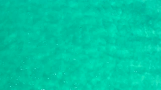 LOS CABOS MEXICO-2020: Thinking of That Open Crystal Clear Blue Ocean Water