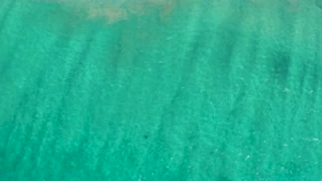 LOS CABOS MEXICO-2020: Calm Clear Seas With A Sandy Bottom And A Lone Stingray