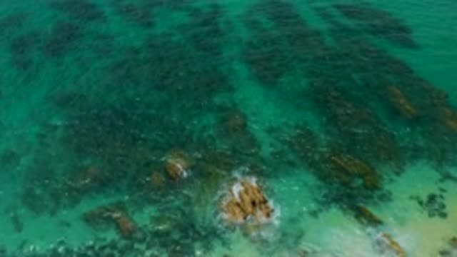 PALMILLA BEACH CABO MEXICO-2020: Beautiful View Of Ocean From Top Vantage Point With Hf