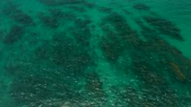 PALMILLA BEACH CABO MEXICO-2020: Aquamarine Water Flows Over a Shallow Bottom