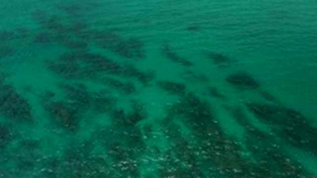 PALMILLA BEACH CABO MEXICO-2020: Calming Turquoise Waters Moving Over Rocks and Plants