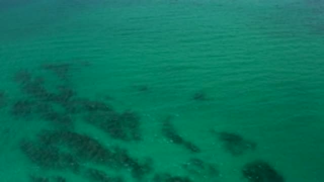 PALMILLA BEACH CABO MEXICO-2020: Aerial Shot Of The Clean And Clear Green Ocean
