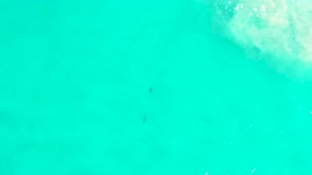SAN JOSE DEL CABO MEXICO-2020: Teal Water Swirling With White Clouds Near Top