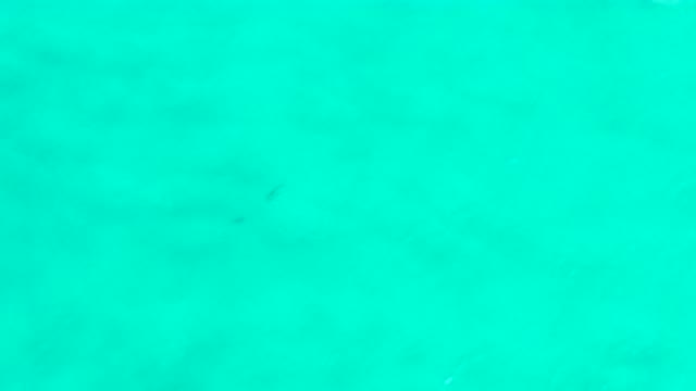 SAN JOSE DEL CABO MEXICO-2020: Green Flowing Peacefully Through Blotches of Gray