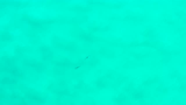 SAN JOSE DEL CABO MEXICO-2020: Aerial Footage Of Clear Blue Water