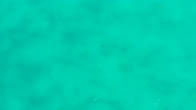 SAN JOSE DEL CABO MEXICO-2020: Sea Green Crystal Clear Water Like A Baby's Heart