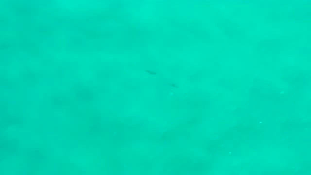 SAN JOSE DEL CABO MEXICO-2020: Beautiful Sky View Of The Clean And Clear Green
