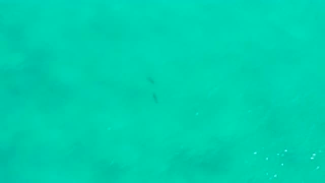 SAN JOSE DEL CABO MEXICO-2020: Aerial View Of The Ocean From Above