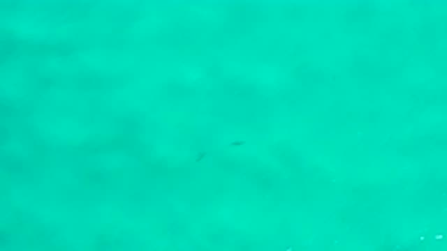 SAN JOSE DEL CABO MEXICO-2020: Aerial Footage Of An Ocean Shore Line In Mexico