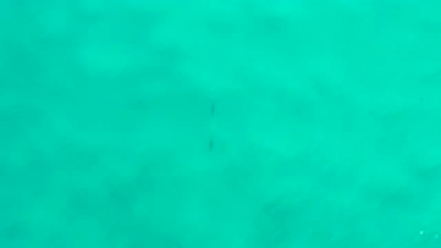 SAN JOSE DEL CABO MEXICO-2020: Blue Sea That Looks Like Slime