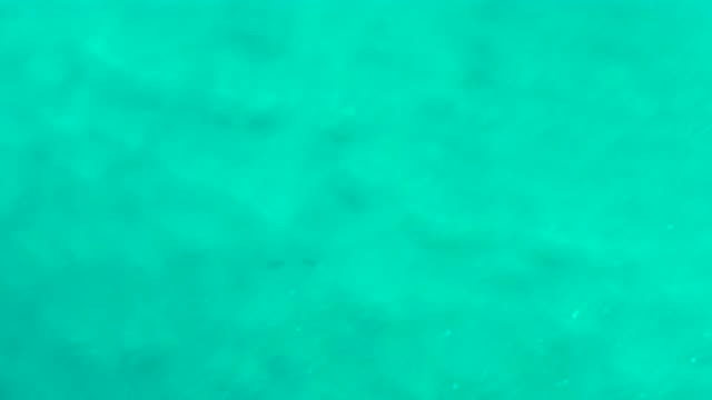 SAN JOSE DEL CABO MEXICO-2020: Light Teal Ocean Water Reflecting The Sunlight