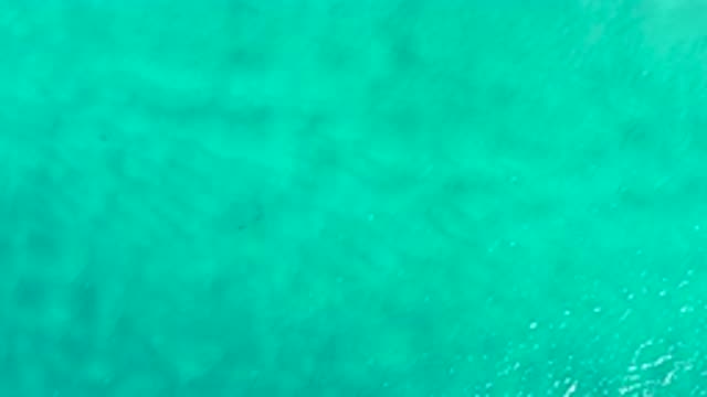 SAN JOSE DEL CABO MEXICO-2020: Slow Zoom Out Shot Of A Green Calm Ocean