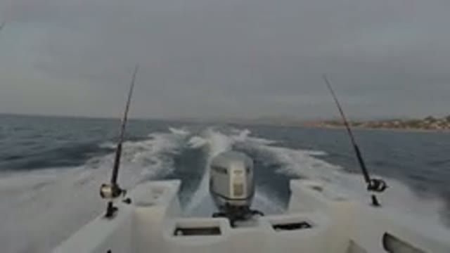 LOS CABOS MEXICO-2019: Two Fishing Rods On The Back Of A Boat Cursing Through