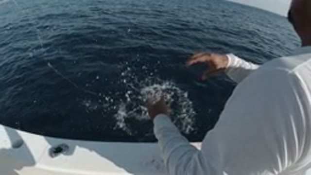 LOS CABOS MEXICO-2019: People's Attitude To Nature