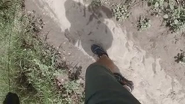 LOS CABOS MEXICO-2019: My Dog Walking Me As I Dropped My Camera
