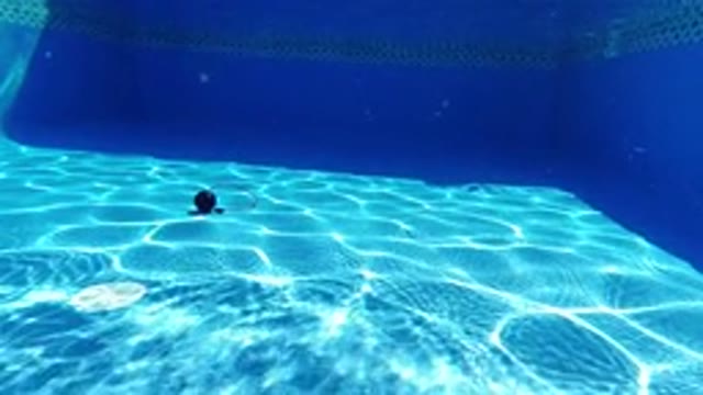 LOS CABOS MEXICO-2019: A Bomb Is Under The Swimming Pool