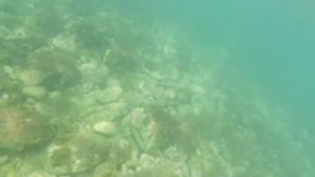 LOS CABOS MEXICO-2019: Floor Level Of A Camera Submerged In Water While Still