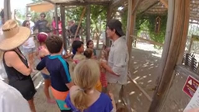 LOS CABOS MEXICO-2019: Group of People Gathered Waiting to Go on a Tour
