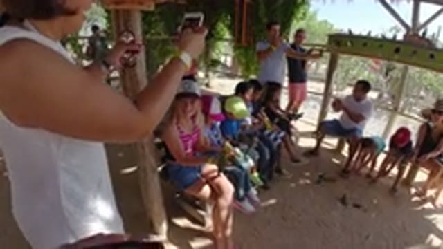 LOS CABOS MEXICO-2019: Children And Families Get Up Close And Personal With A