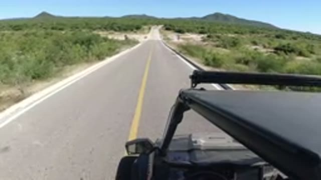 LOS CABOS MEXICO-2019: SUV Driving On Deserted Road Lined With Green Shrubs And