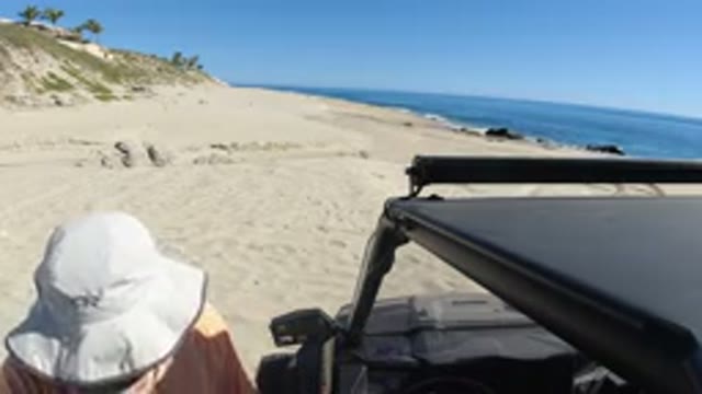LOS CABOS MEXICO-2019: At Seashore On Sunny Day