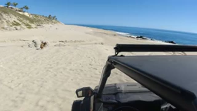 LOS CABOS MEXICO-2019: The Nice View Of The Jeep Parking At Beach Sand Near