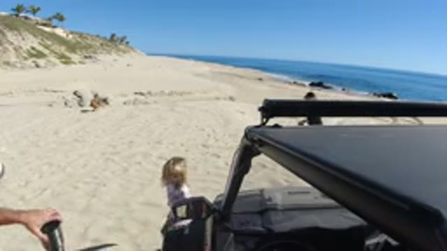 LOS CABOS MEXICO-2019: Family Of Three Arrives At The Beach With Their Dog