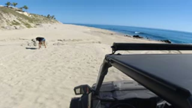 LOS CABOS MEXICO-2019: Woman Digging In Sand Walking Near Water Waves On Sunny Day With Car