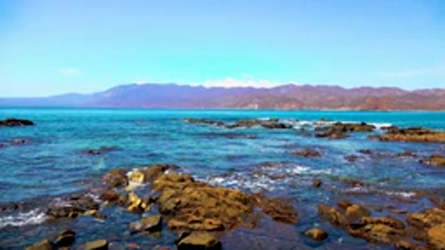 EL SARGENTO LA VENTANA MEXICO-2020: The World Is Wander