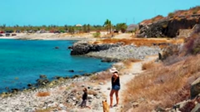 EL SARGENTO LA VENTANA MEXICO-2020: Woman, Kid and Dog Walking on the Beach