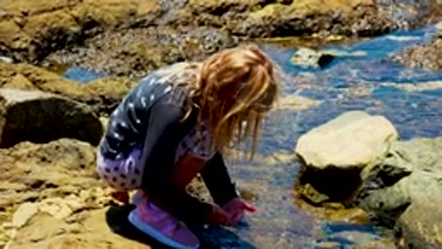 Young Girl Exploring Rocky Shoreline