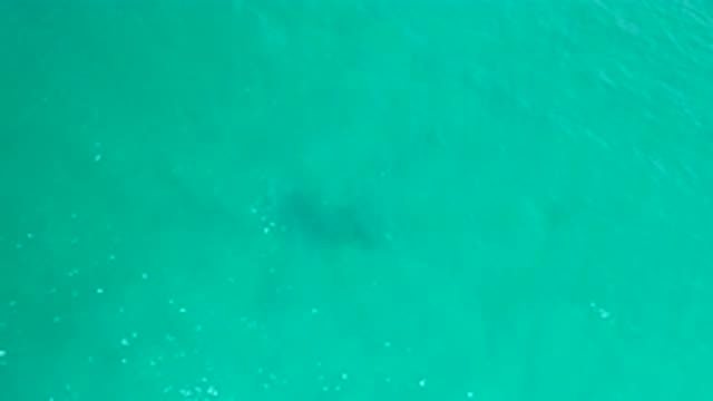 SAN JOSE DEL CABO MEXICO-2020: Vast Blue Moving Empty Warm Ocean Being Filmed