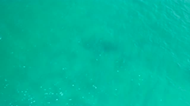 SAN JOSE DEL CABO MEXICO-2020: Crystal Clear Water Rippled By The Wind And