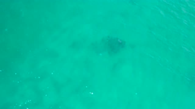 SAN JOSE DEL CABO MEXICO-2020: Pure And Clear Transparent Fresh Sea Water With Waves
