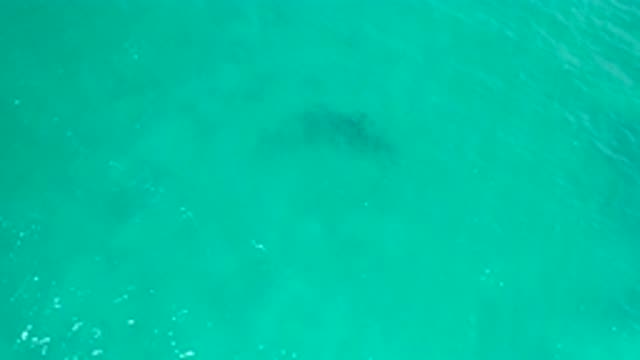 SAN JOSE DEL CABO MEXICO-2020: Small Murky Shadow Deep Below Sparkling Blue