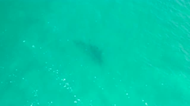 SAN JOSE DEL CABO MEXICO-2020: Focusing on One Object Inside Sea