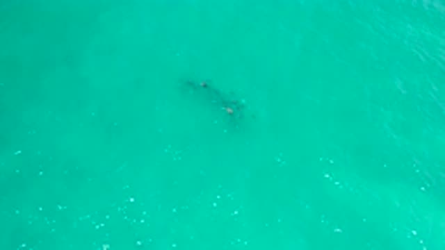 SAN JOSE DEL CABO MEXICO-2020: Sea Water Below A Sky-Blue Clouds