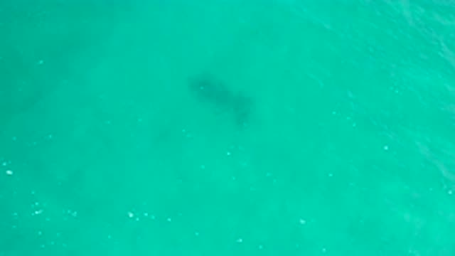 SAN JOSE DEL CABO MEXICO-2020: A Shadow Of Something That Can Be Seen Under The Waves