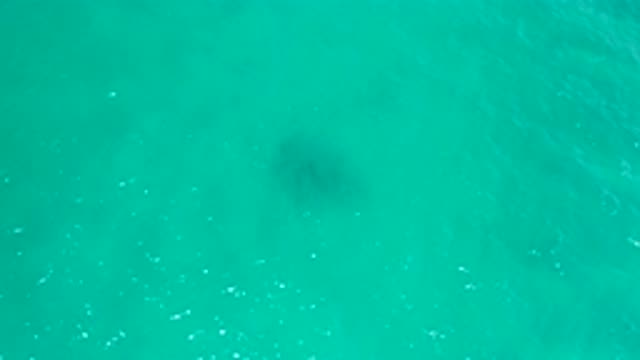 SAN JOSE DEL CABO MEXICO-2020: Watching The Calm Crystal Clear Blue Water Of The