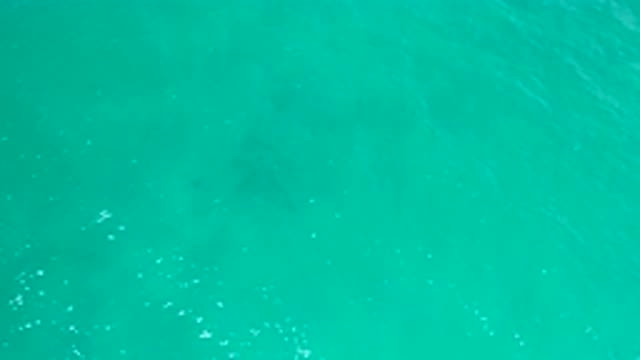 SAN JOSE DEL CABO MEXICO-2020: Massively Green and Deep Warm Ocean