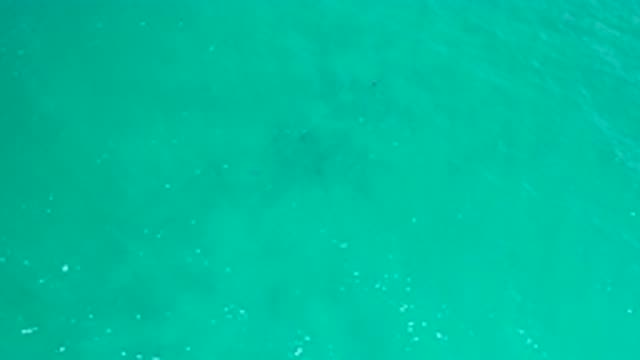 SAN JOSE DEL CABO MEXICO-2020: Green Sea Waves At Daylight With A Fish Jumping