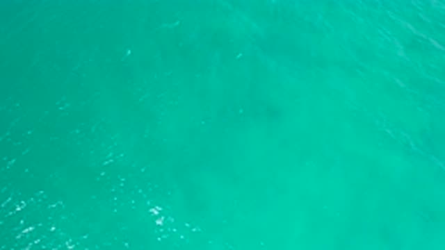 SAN JOSE DEL CABO MEXICO-2020: Greening Blue Water Flowing Peacefully To Create