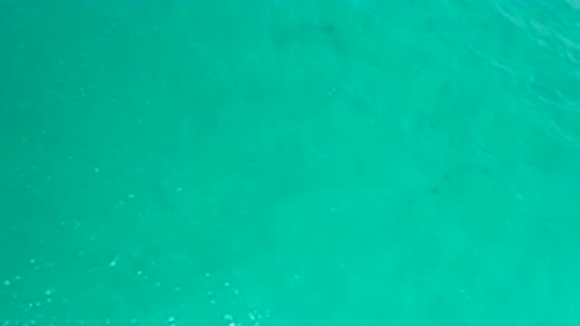 SAN JOSE DEL CABO MEXICO-2020: Crystal Clear Blue Sea Water Fishes Swimming